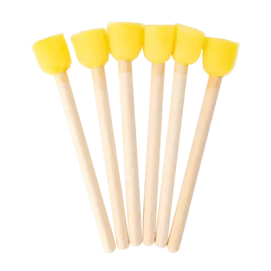 Sponge Brushes 6pcs