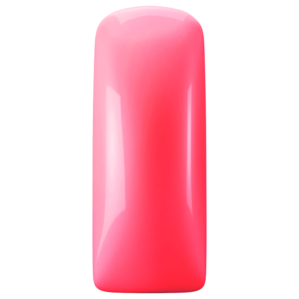 Blush Neon Coral