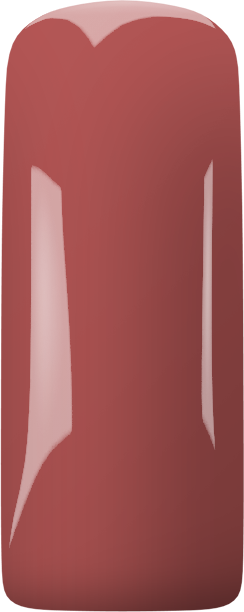 Blush Plum Blossom